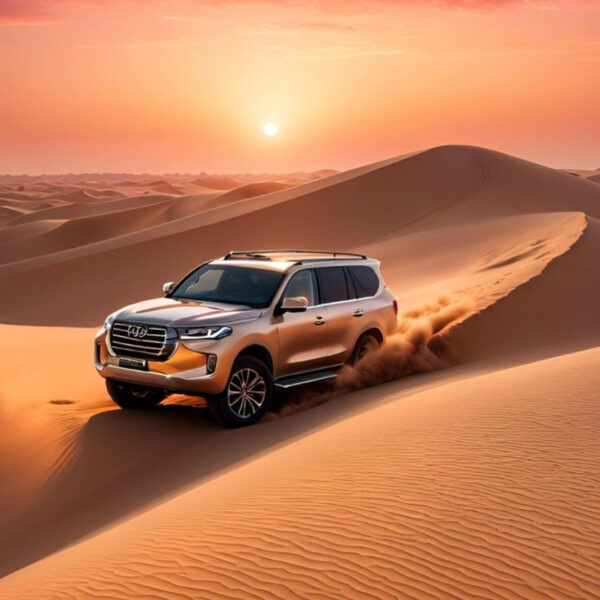 Personalized Desert Safari