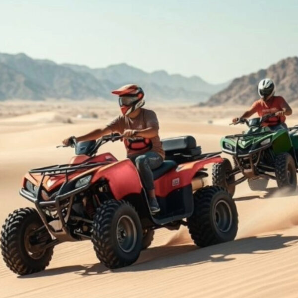 Fully automatic Quad Bike