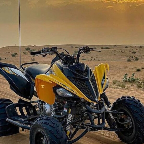 High Power Quad Bike