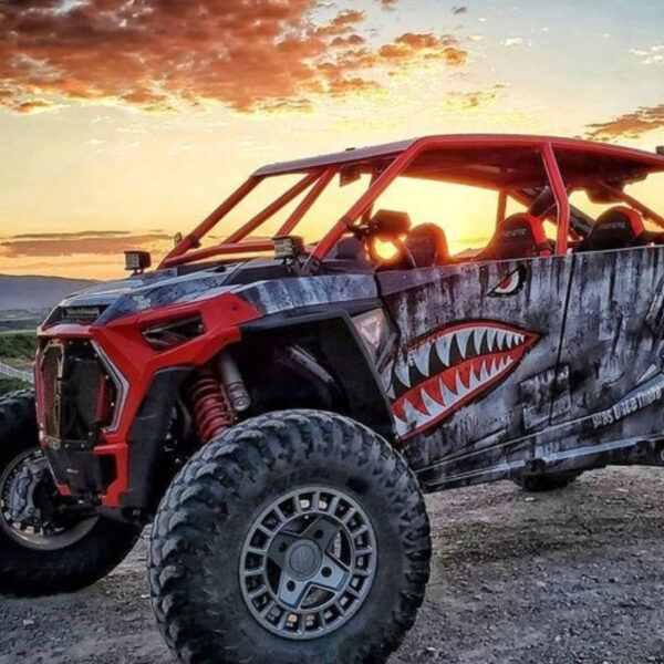 4-Seater Polaris dune buggy