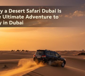 desert-safari-dubai-tips